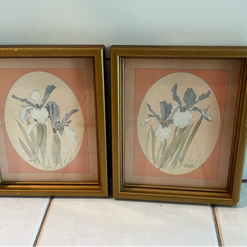 Vintage 1982 Mary storm Iris flower paintings
